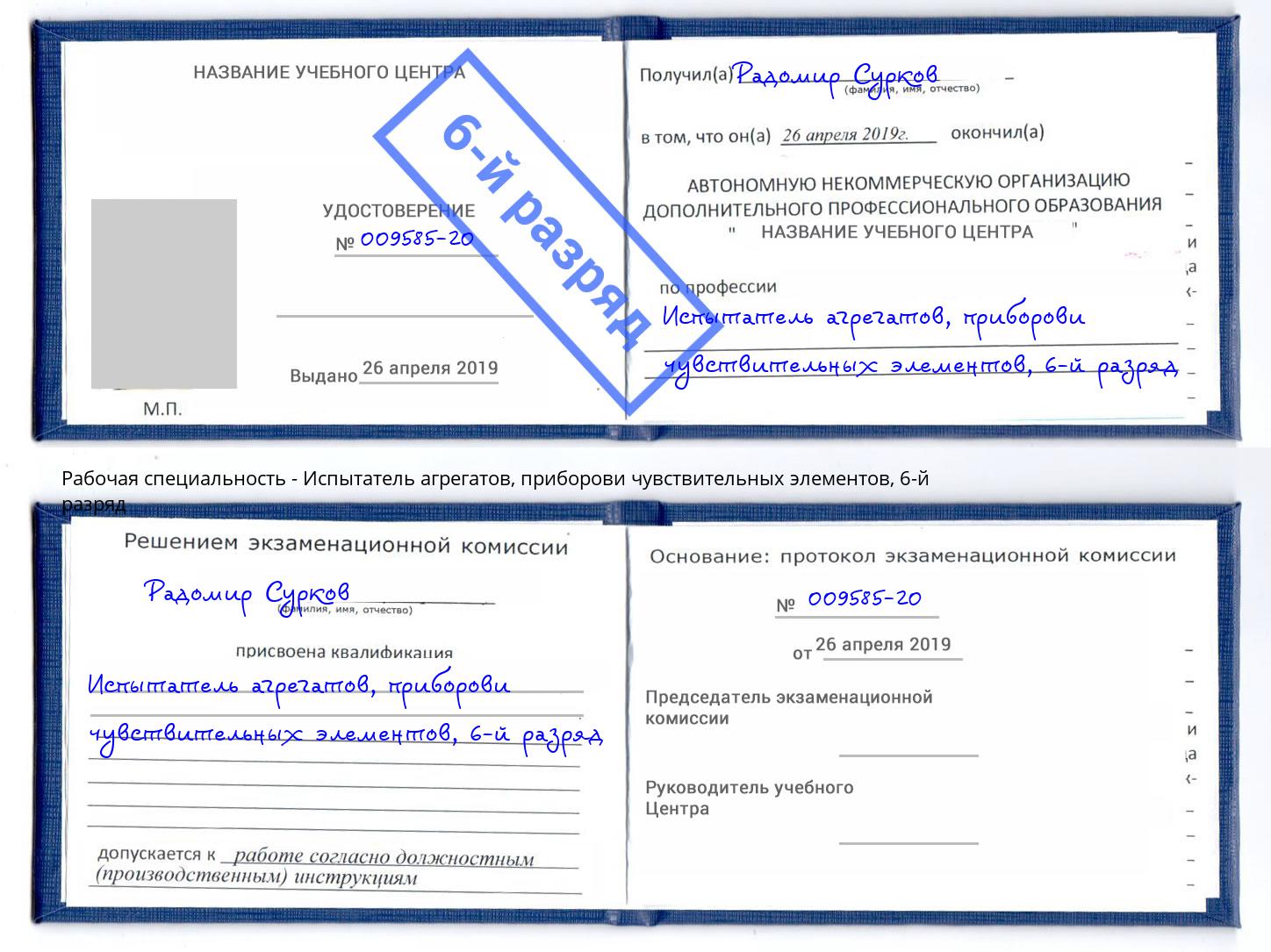 корочка 6-й разряд Испытатель агрегатов, приборови чувствительных элементов Ялта