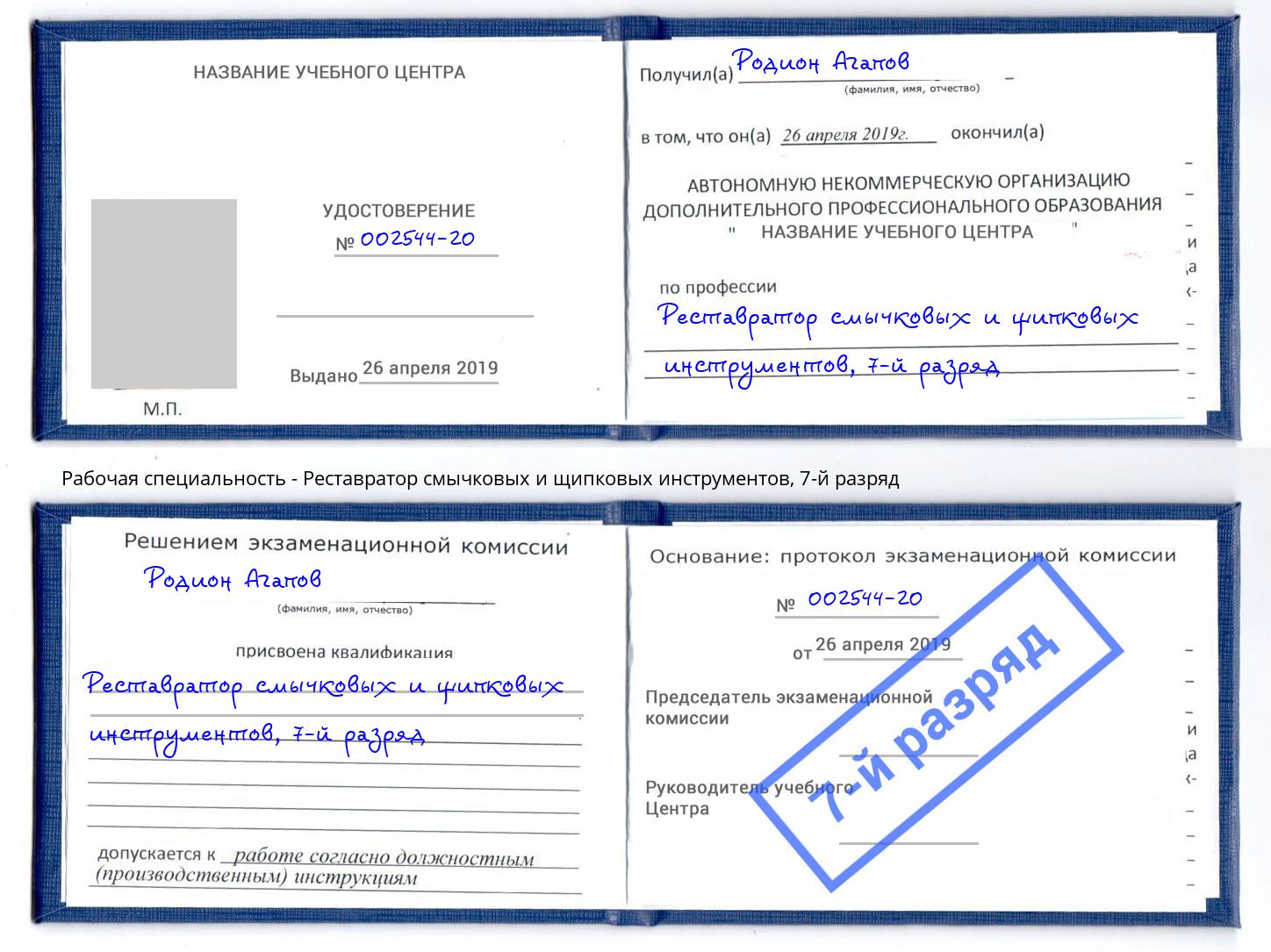 корочка 7-й разряд Реставратор смычковых и щипковых инструментов Ялта